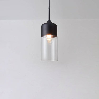 Black and White Pendant Light - 245GPL