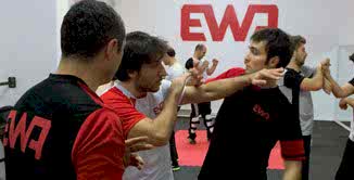 Wing Tsun / Wing Chun