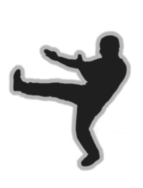 Wing Tsun / Wing Chun